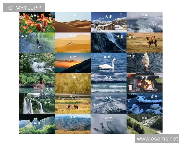 唯美摄影之旅：镜头背后的故事