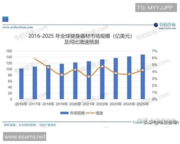美国健身器材的特点与选购指南：为何美国的健身器材在全球市场中占据领先地位？