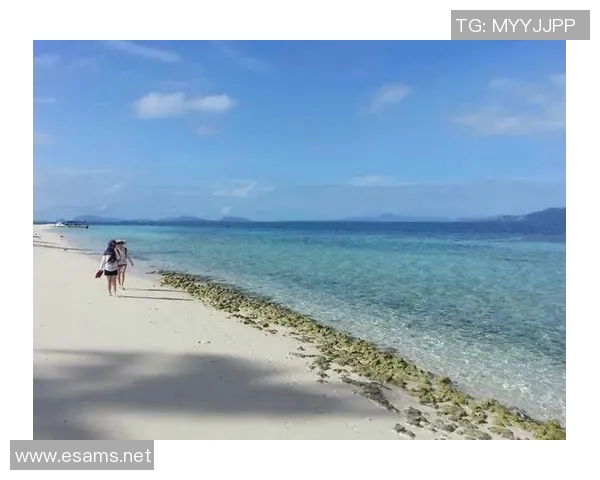 陈磊深度解析极限运动的技巧与心得分享，助你突破自我极限